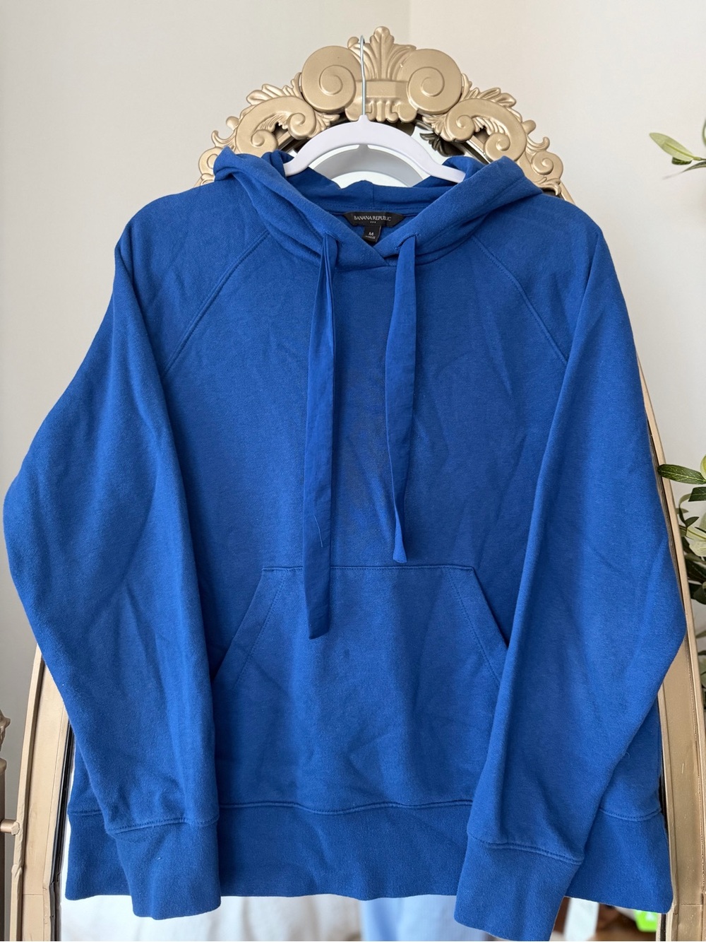 Banana Republic Hooded Pullover Sweatshirt
